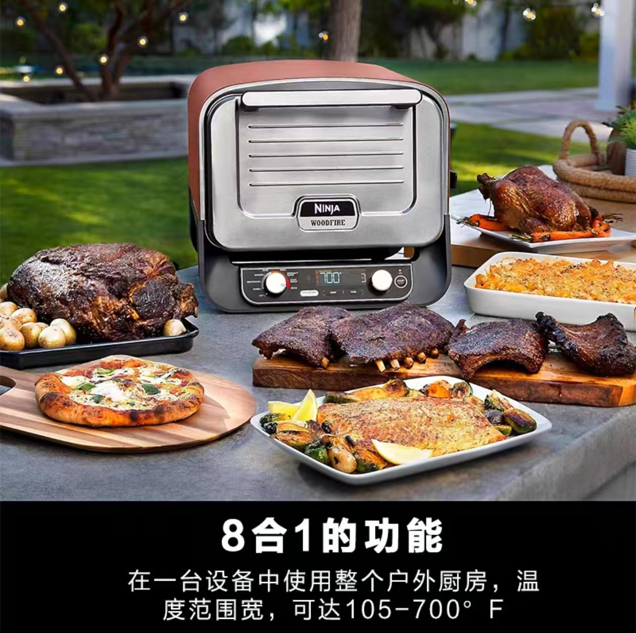 Four à pizza extérieur 2026 po - Camping Cooking Ovens avis et prix